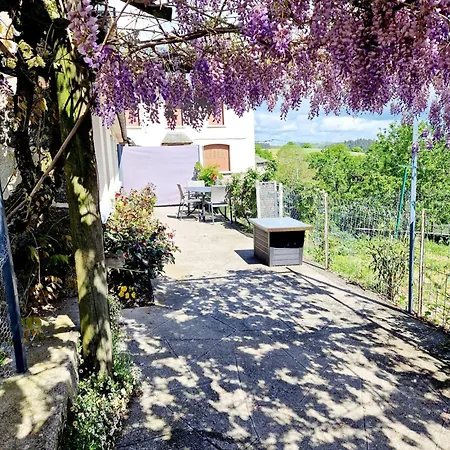 La Colline D'estaing, Maison 4 Pers Avec Terrasse 度假居